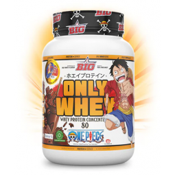 ONLY WHEY ONE PIECE CHOCO...