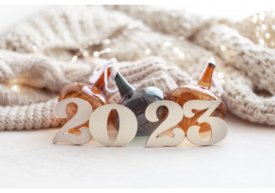 Propósitos para el 2023
